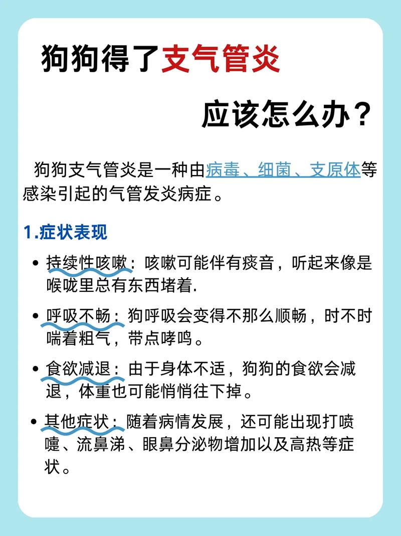 狗狗得了传染性支气管炎怎么办?
