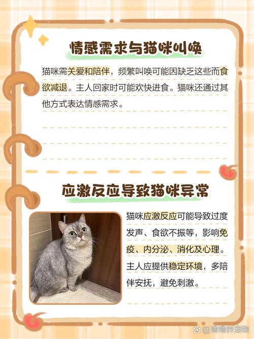刚到家的猫咪嗜睡、不吃东西、一直叫?