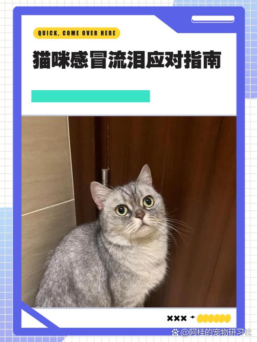 猫咪流鼻涕流眼泪