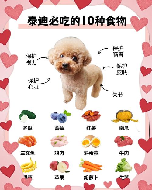 狗狗吃什么毛发亮,对狗毛发好能美毛的4种食物