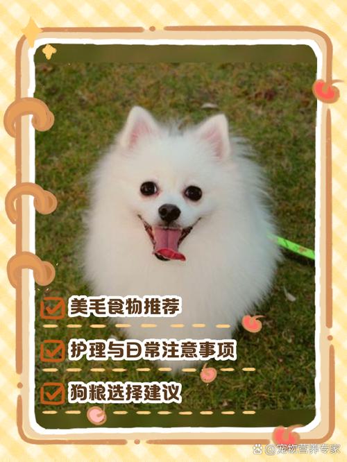 狗狗吃什么可以美毛