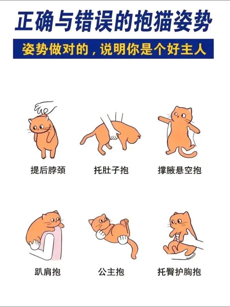 狗狗求抱抱什么表现