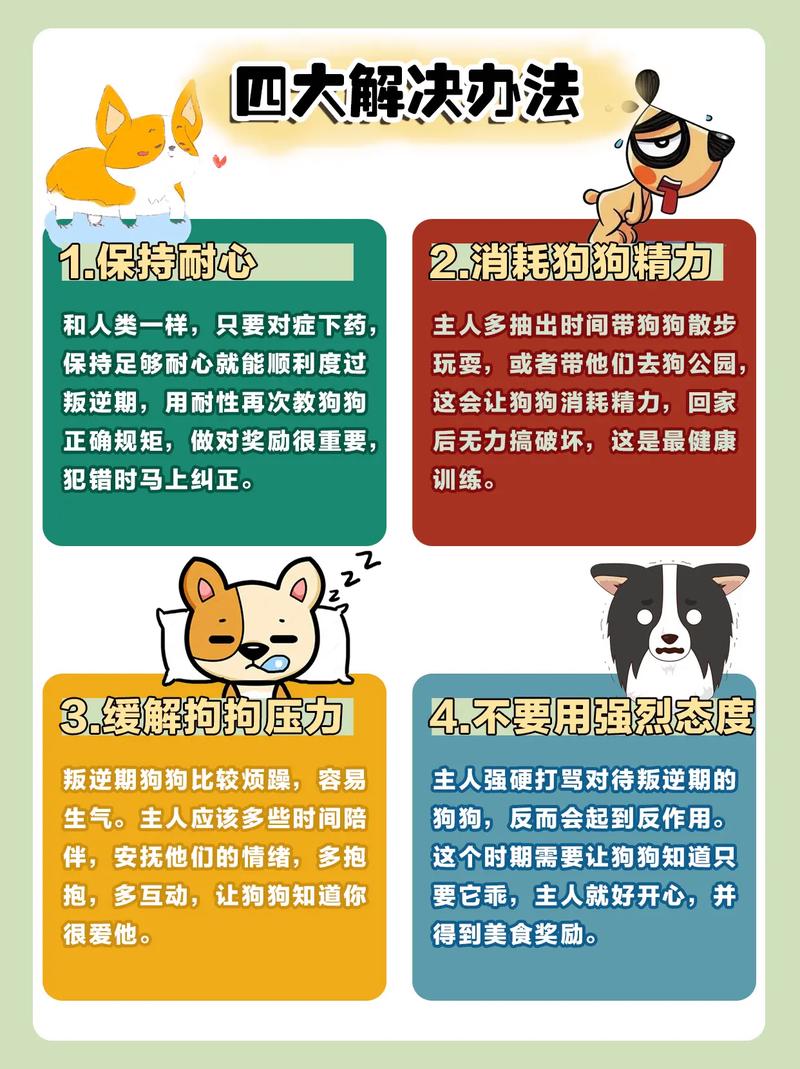 为什么狗狗也会有「叛逆期」?