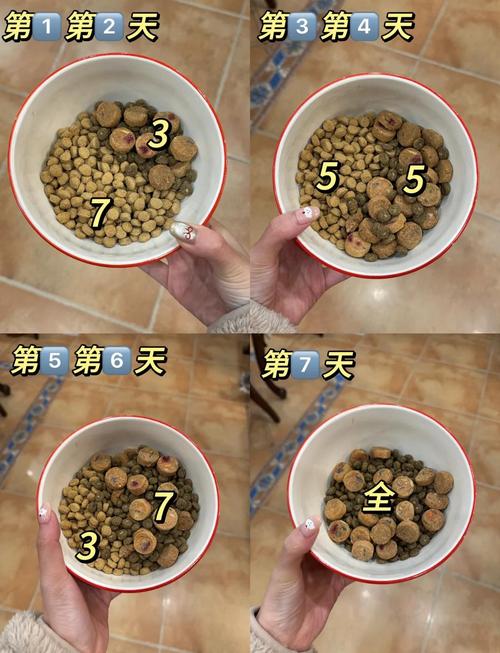 怎么给狗狗换狗粮呢
