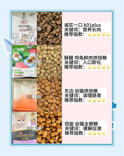 猫咪能吃的人类食物清单总结新手养猫