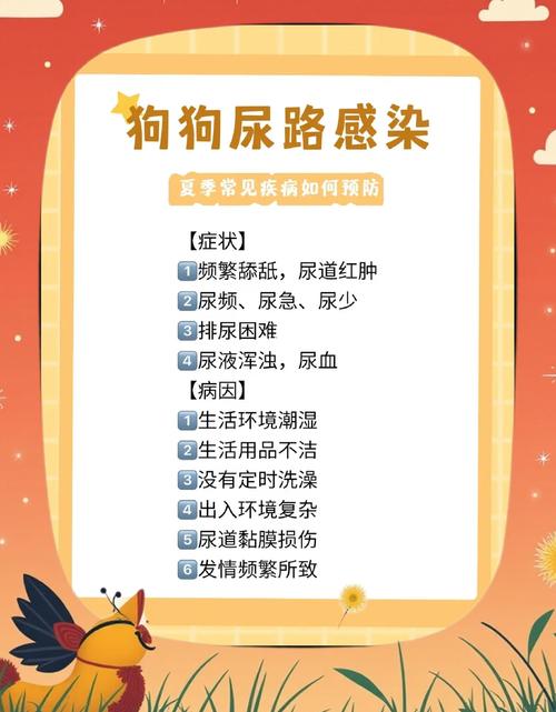 狗怎么去辨别尿路感染