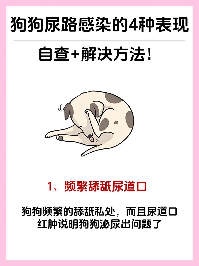 怎么判断狗狗尿路感染