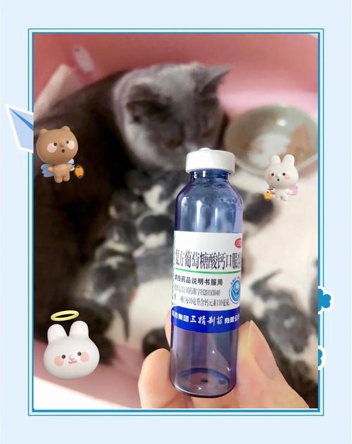 人喝的葡萄糖可以给猫喝吗