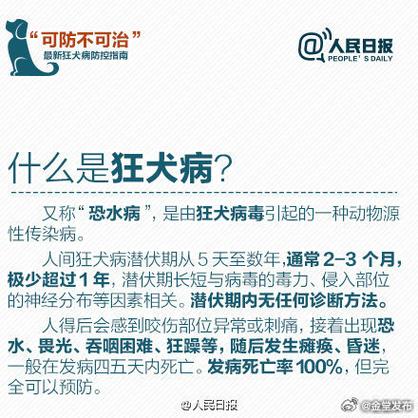 狗狗crp高100有危险吗