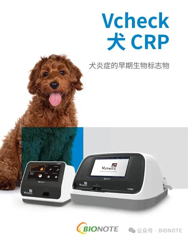 犬crp是测什么的
