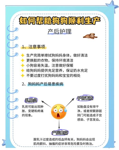 狗生不出来怎么办,狗狗生不下来怎么助产