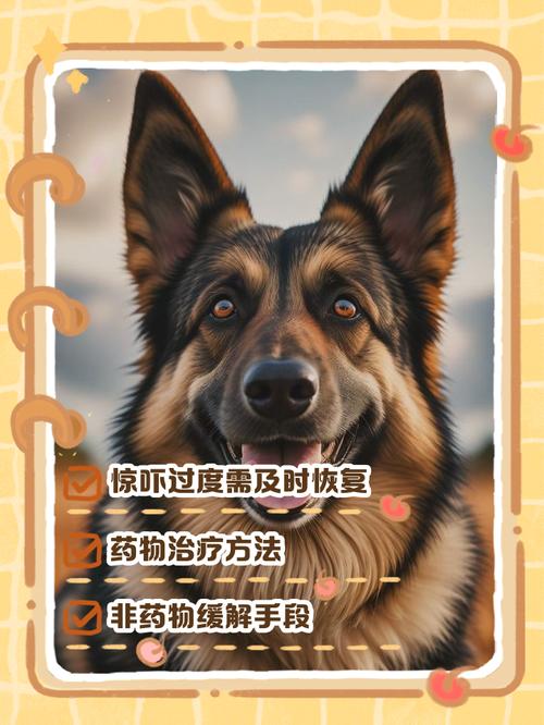 狗狗惊吓过度怎么恢复?