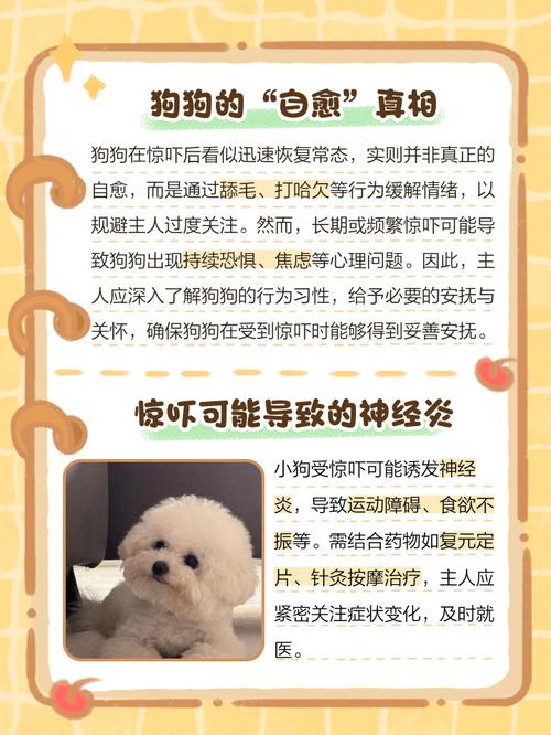 小狗受惊吓怎么办