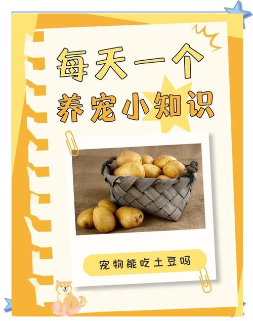 狗狗吃土豆的好处