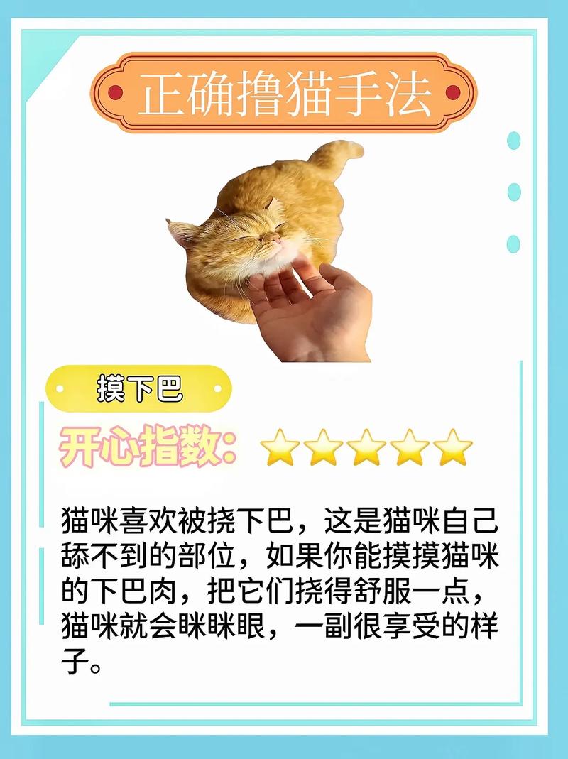 怎么才能猫咪喜欢你