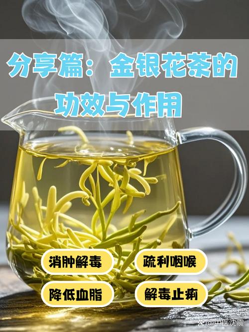金毛上火可以喝金银花露吗?
