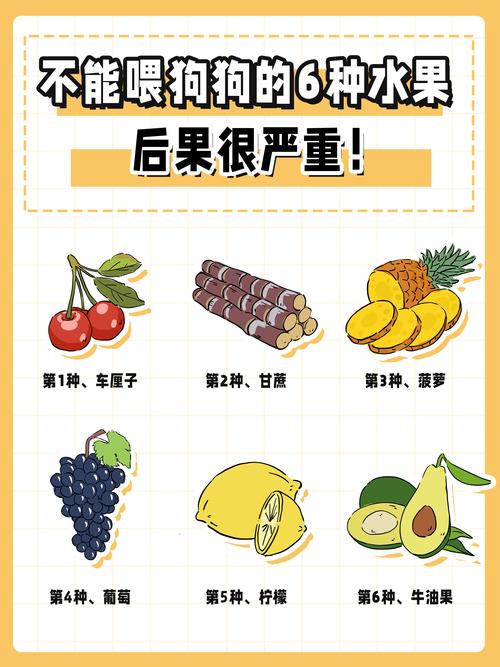 这几种水果,不适合喂狗!
