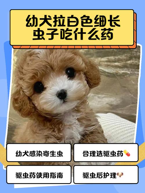 狗拉虫子白色线状吃什么药