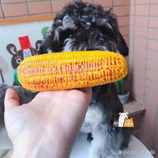 狗狗可以吃煮熟的玉米吗