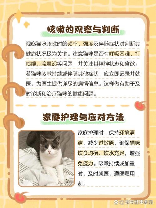 猫咪喝完水咳嗽的原因及处理方法