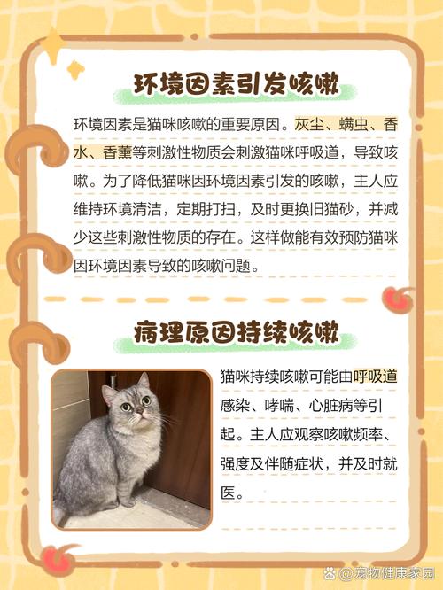 为什么猫咪喝水之后咳嗽