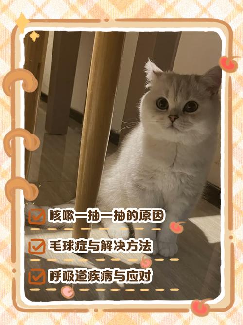 猫咪喝水后一抽一抽的咳嗽