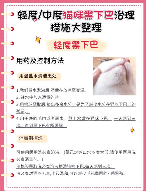 猫咪黑下巴用什么洗