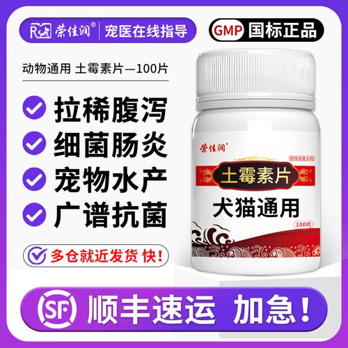 狗痢疾是什么症状肠炎用什么药