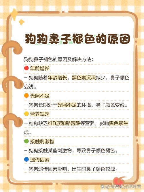 狗鼻子褪色的原因,以及如何缓解?