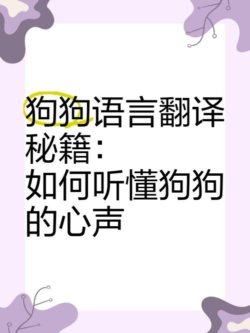 和狗狗天天说话能听懂吗