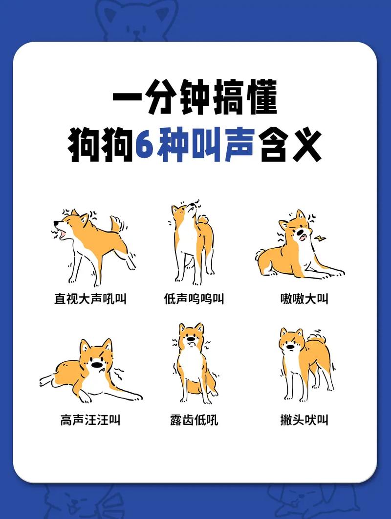 怎么跟狗狗沟通说话