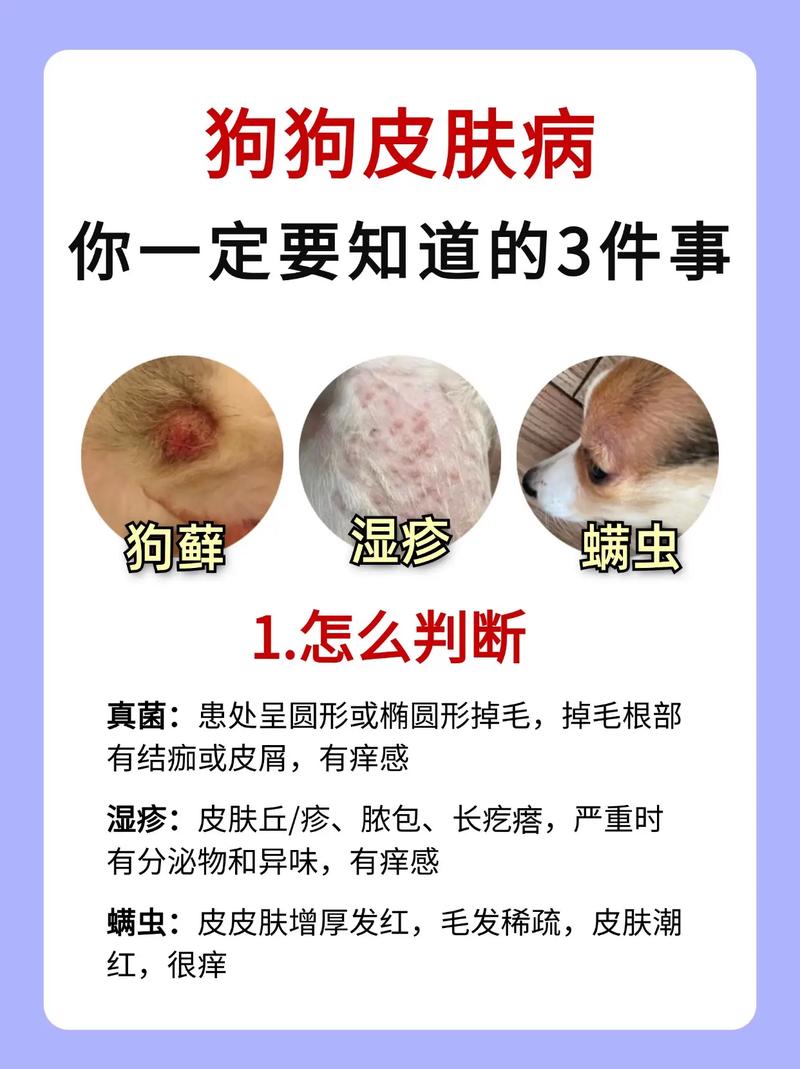 狗狗皮肤病会传染狗吗