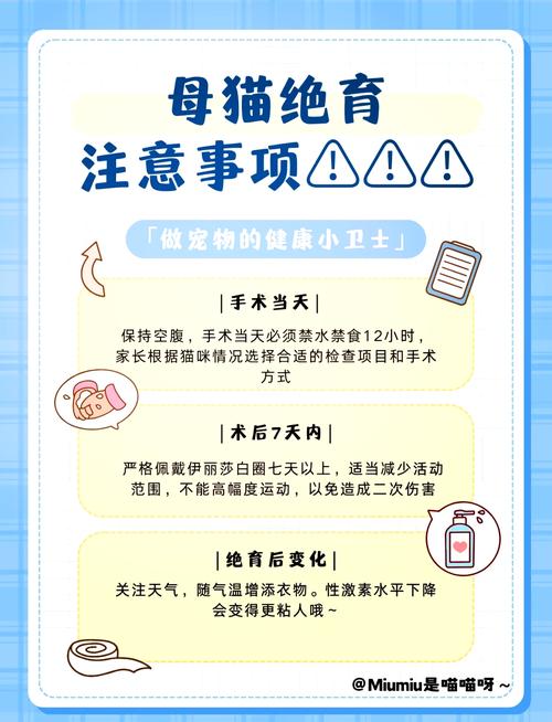 蓝猫公一定要做绝育手术吗?不做会怎么样?