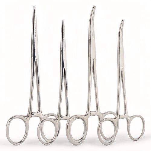 给狗狗拔耳毛时要用到哪些工具?