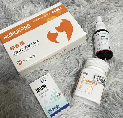 猫感冒打喷嚏,猫打喷嚏吃什么药