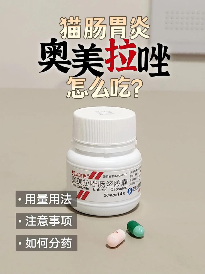 猫吐了怎么办吃什么药