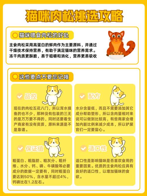 猫能吃松子吗