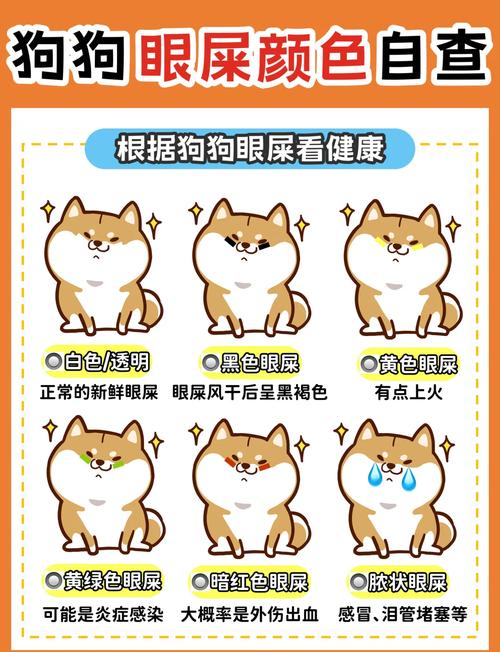 狗狗上火了怎么办?眼屎多,便便很硬!!