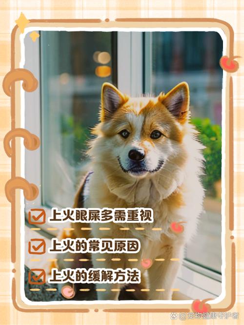 狗狗要是吃了辣的东西会怎么样?