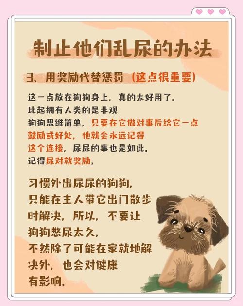 如何给狗狗催尿
