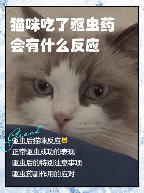 猫咪吃了驱虫药会有什么反应
