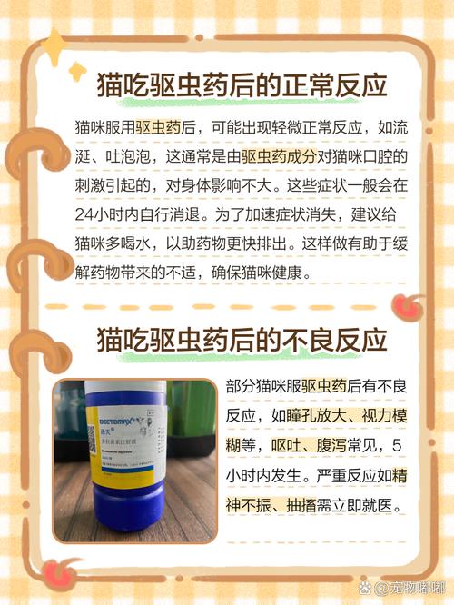 猫吃完驱虫药后什么时候有反应