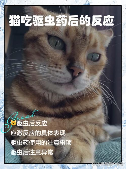 猫吃驱虫药有什么反应