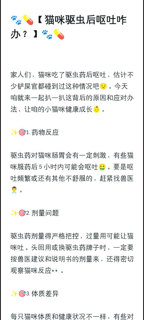 猫吃了驱虫药会有什么反应?给猫驱虫后呕吐该怎么办
