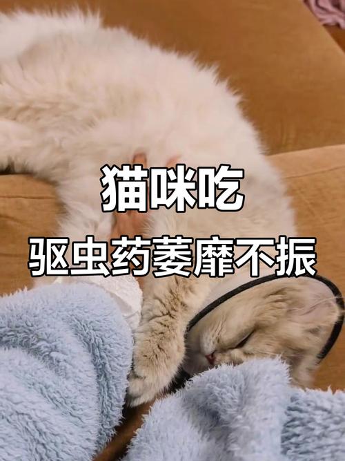 猫咪驱虫有什么反应