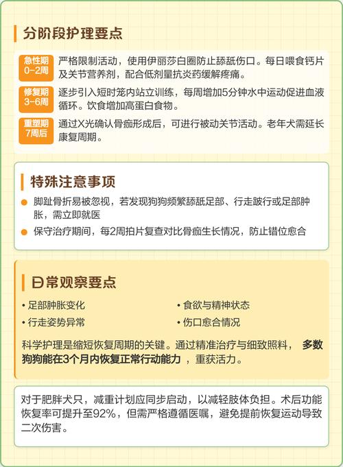 狗狗骨折多久可以康复?