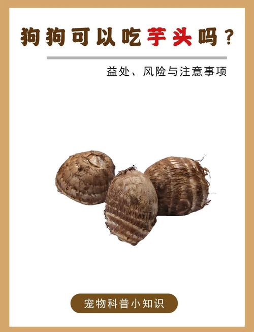 芋艿狗狗可以吃吗