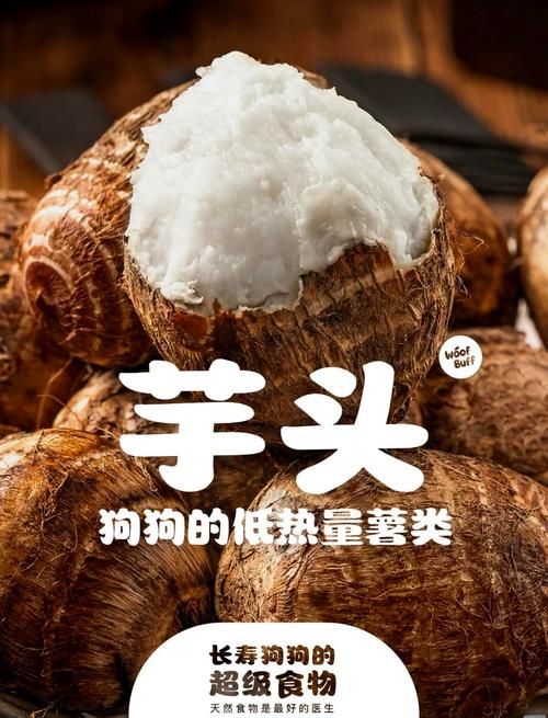 关于挑食狗狗越吃越少