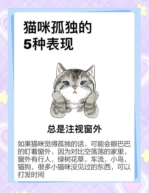 猫咪孤独的9大表现,你家猫咪有这些行为吗?