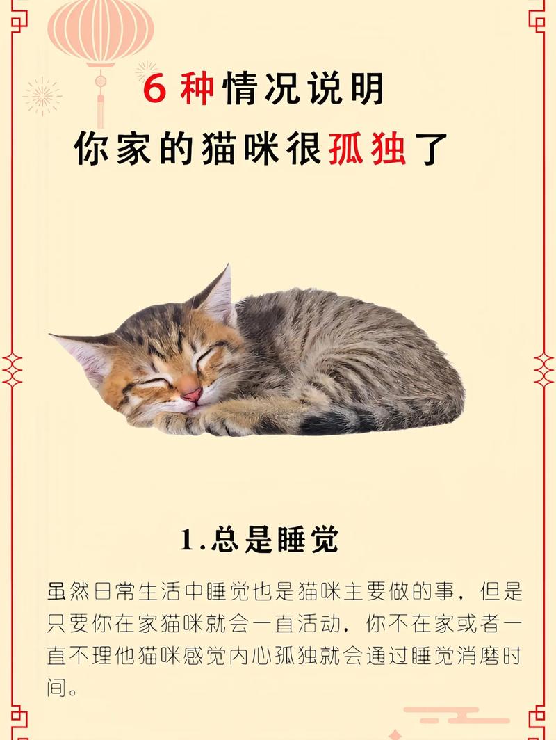 猫咪感到孤独的9种表现!